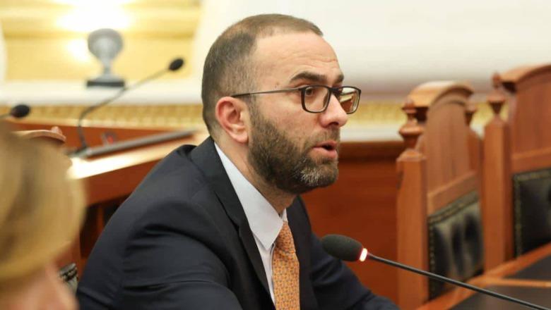 Bardhi: Mazhorca po tenton të përjashtojë opozitën nga procesi i integrimit