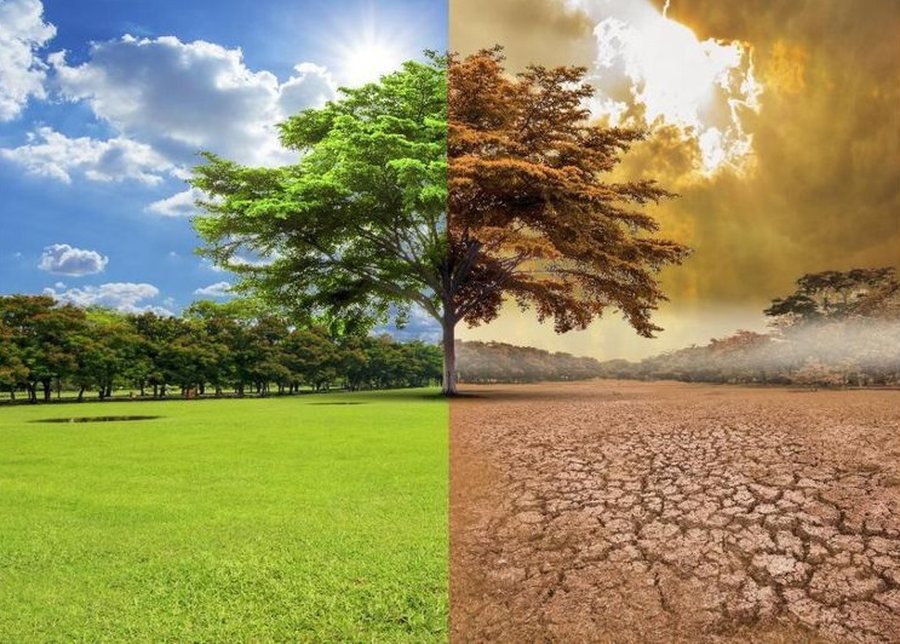 BE: Ndryshimet klimatike po rrezikojnë sigurinë ekonomike të Europës, biodiversiteti në rënie alarmante