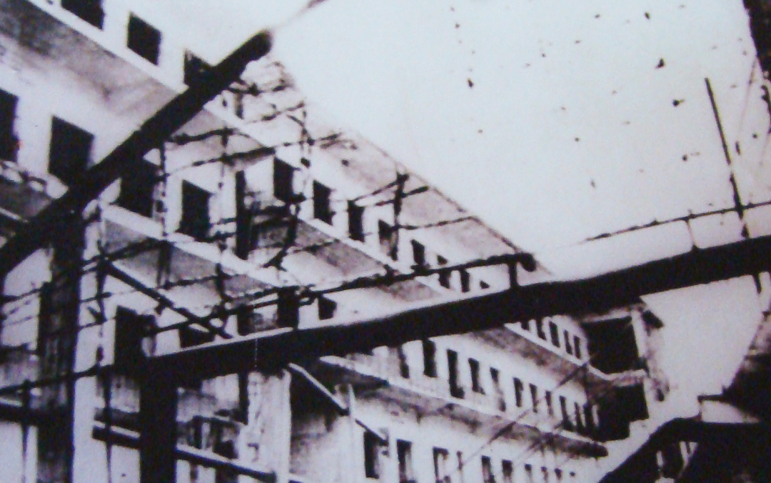 Bërtimat e nënës: “Jam e pafajshme! Kam fëmijë! Pse po më merrni në qafë?”