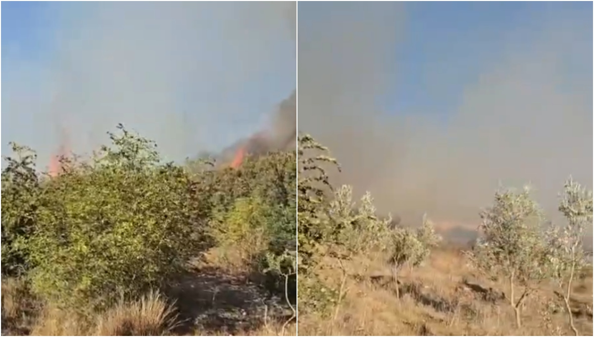 Bie zjarr në Qafën e Butrintit, flakët rrezikojnë Parkun Kombëtar