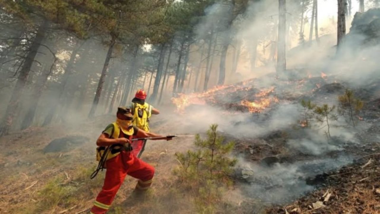Bilanci i dëmeve nga zjarri në Skënderbegas/ 68 banesa të djegura, 10 prej tyre totalisht, 215 bagëti të ngordhura