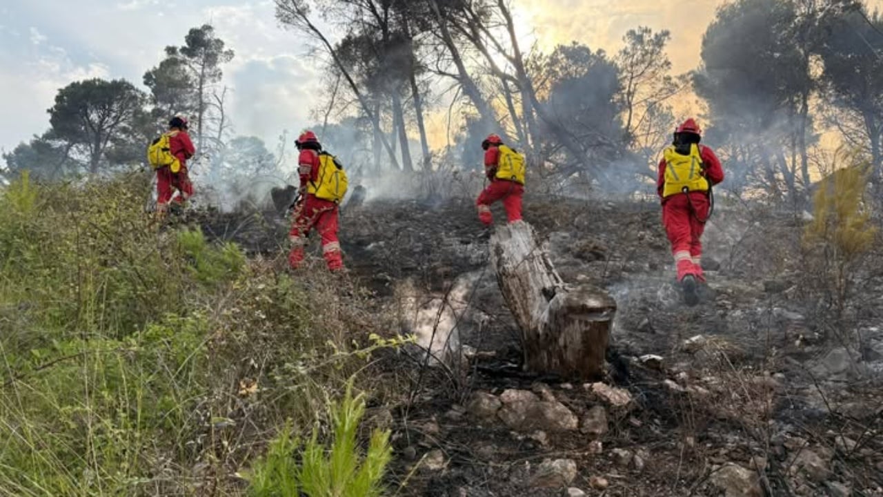 Bilanci tragjik i zjarrit në Skënderbegas të Gramshit: 68 banesa të djegura dhe qindra bagëti të ngordhura