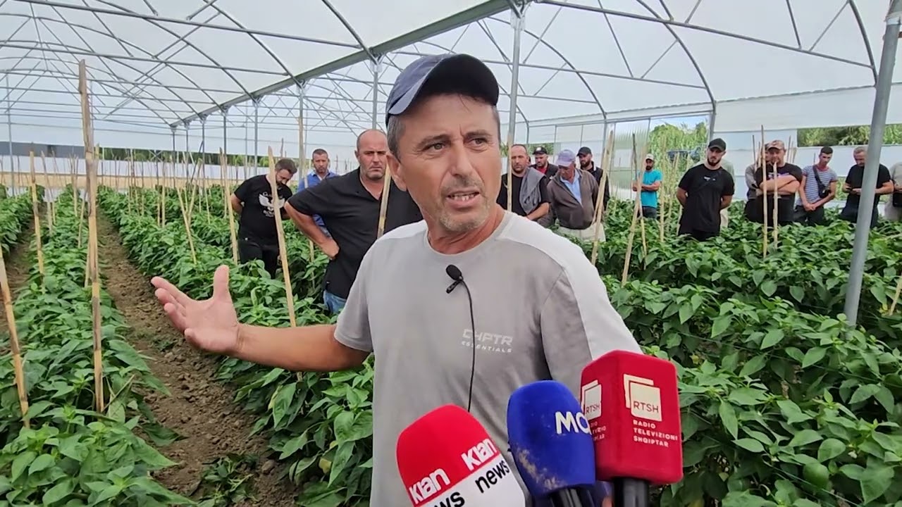 Bllokohet eksporti, specat ngelen pa vjelur në Divjakë