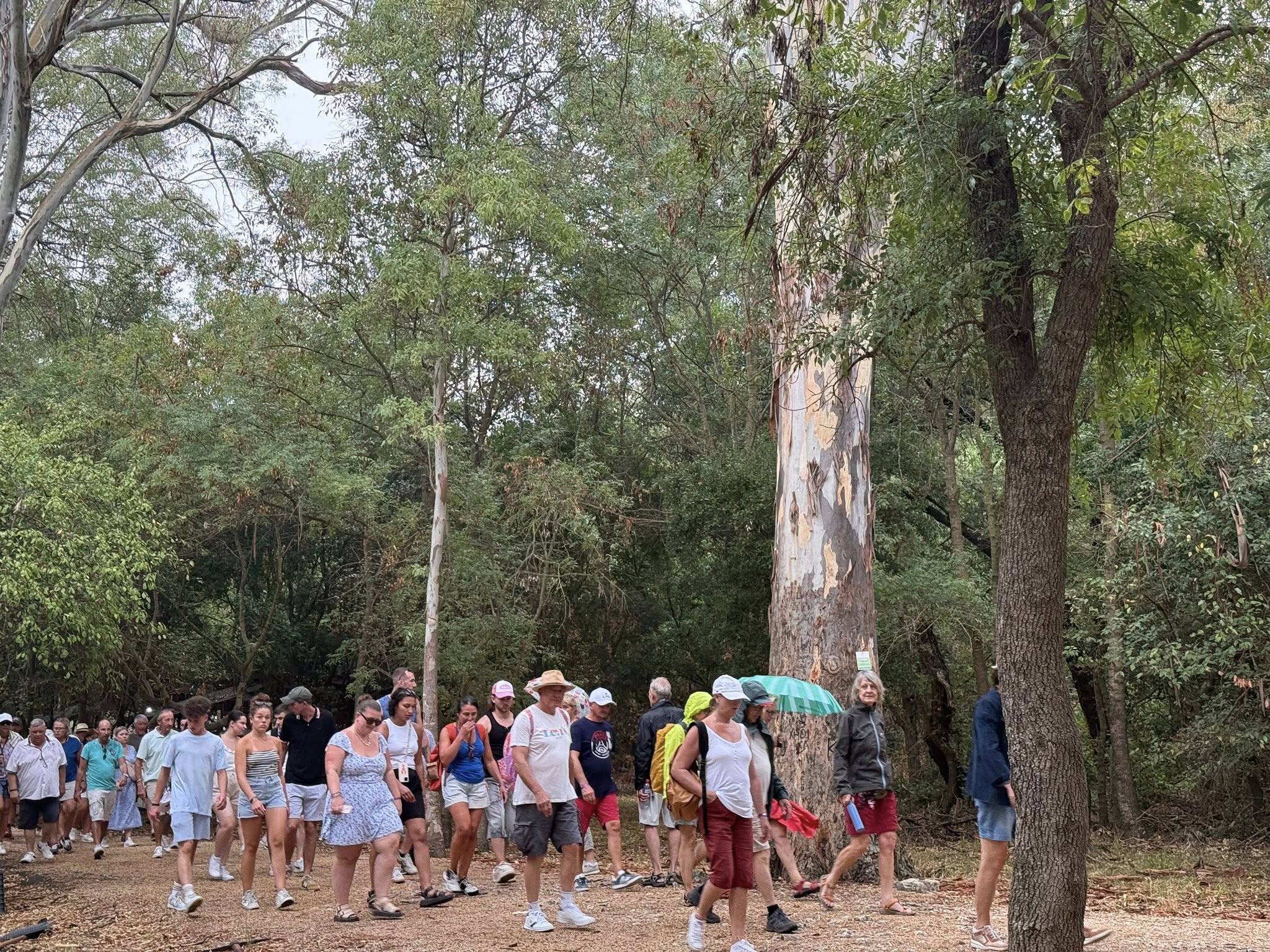 Butrinti thyen rekord me 202 mijë vizitorë për 8 muaj, turistët e huaj: Park fantastik, me 2 mijë vite histori