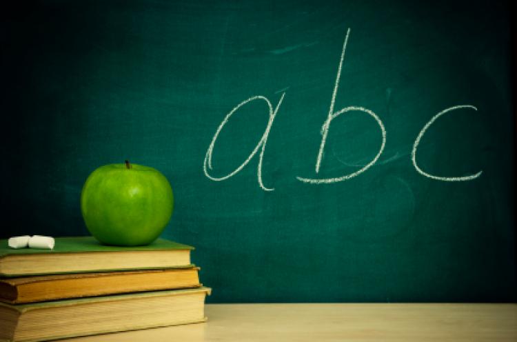 Dita Botërore e Shkrimit dhe Leximit, suksesi dhe sfidat globale