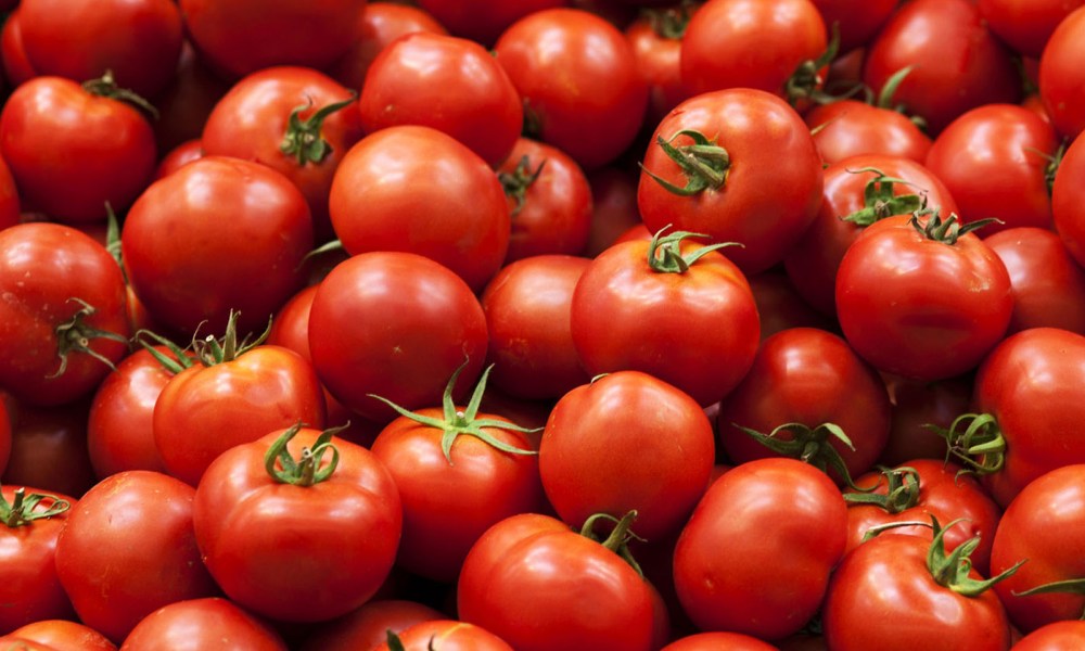 “Domatja do dashuri”, Braçe: Ndalni histerinë për helmim me pesticide