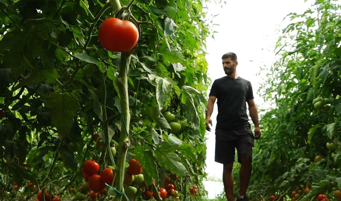 Efekti i “luftës” tregtare te fermerët/ Bujqit në Fier: Të huajt na faturojnë gjithçka ne shqiptarëve, kemi edhe pesticide jo efektive