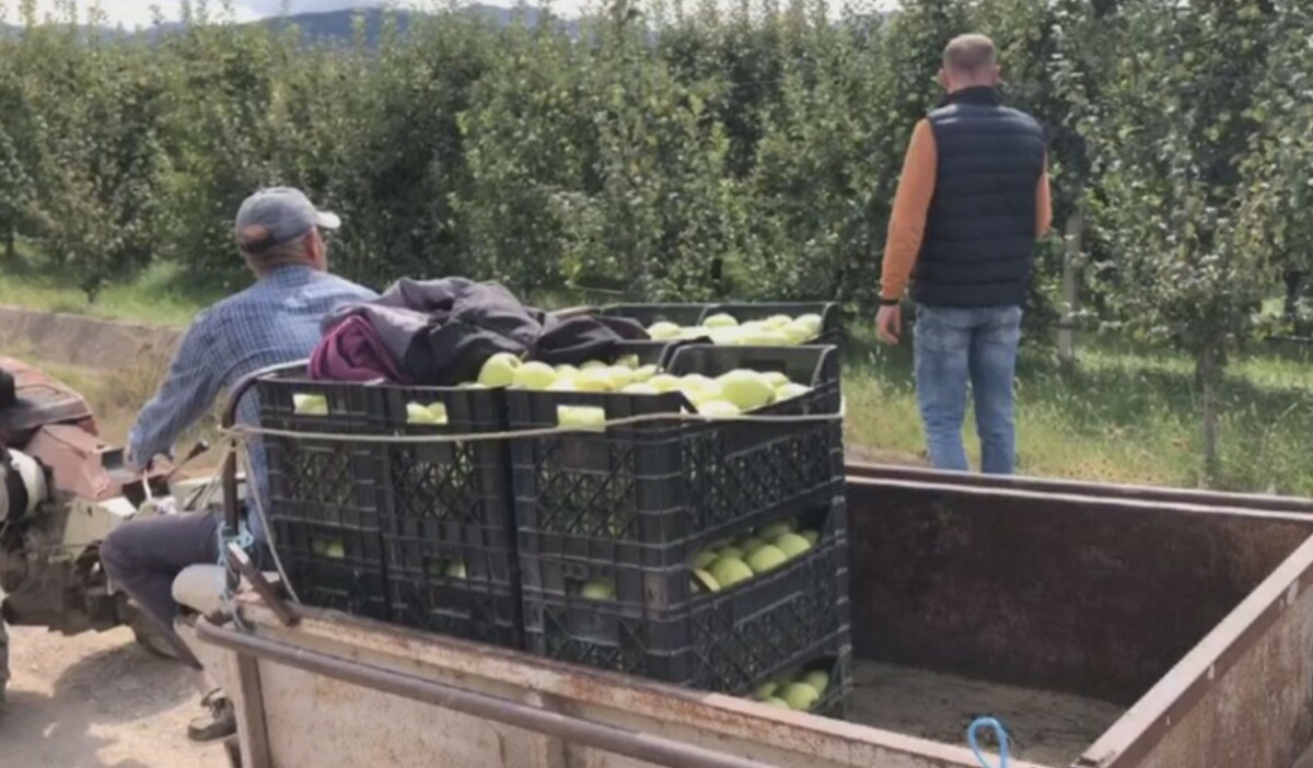 Ekonomia shqiptare u rrit me 3.5 përqind në tremujorin e dytë