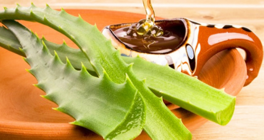 Fuqitë shëruese të mjaltit dhe aloe verës
