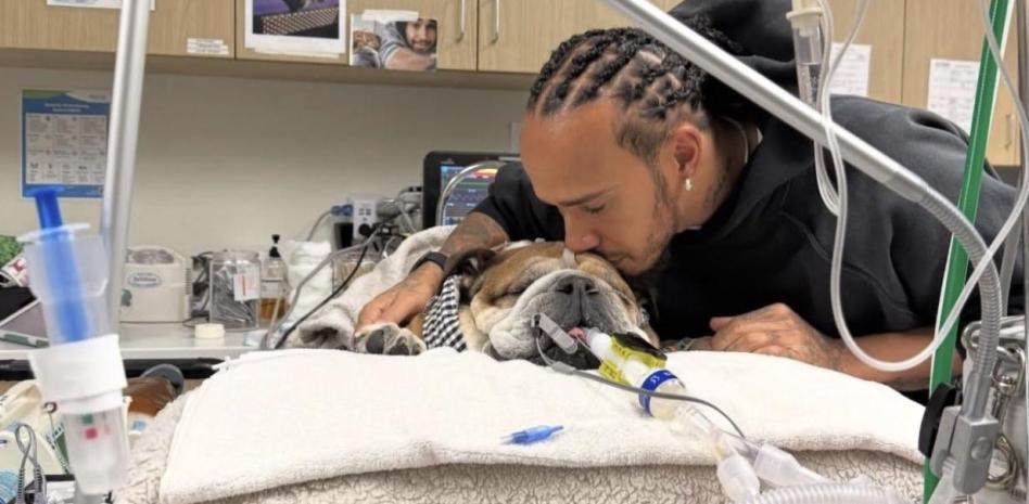 Hamilton braktis testet me Ferrarin për të qenë pranë qenit të tij në koma