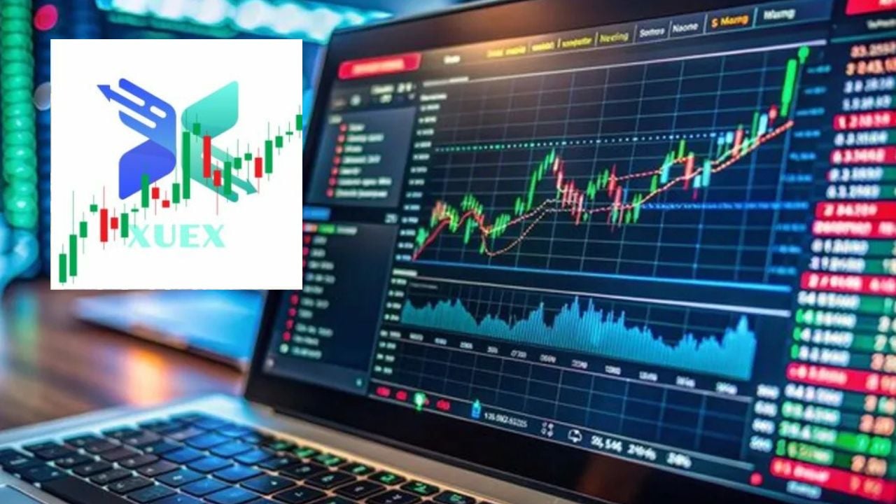 “I transferova tarifën e regjistrimit motrës që ta ndihmoja”, si u mashtrua drejtoresha nga Gramshi: Për platformën XUEX mësova në festën e 8 marsit nga kolegët