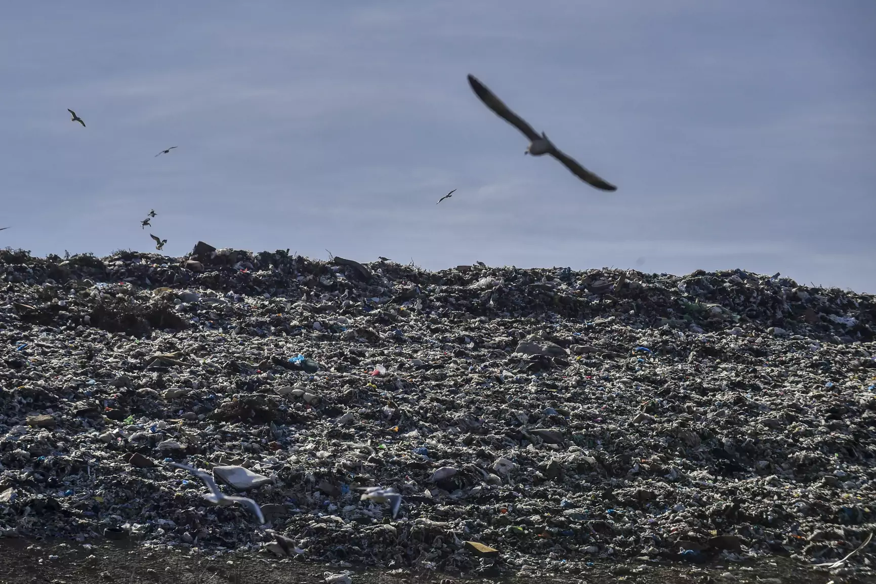 Inceneratorët ‘dogjën’ paratë, plehrat përfundojnë tek landfillet