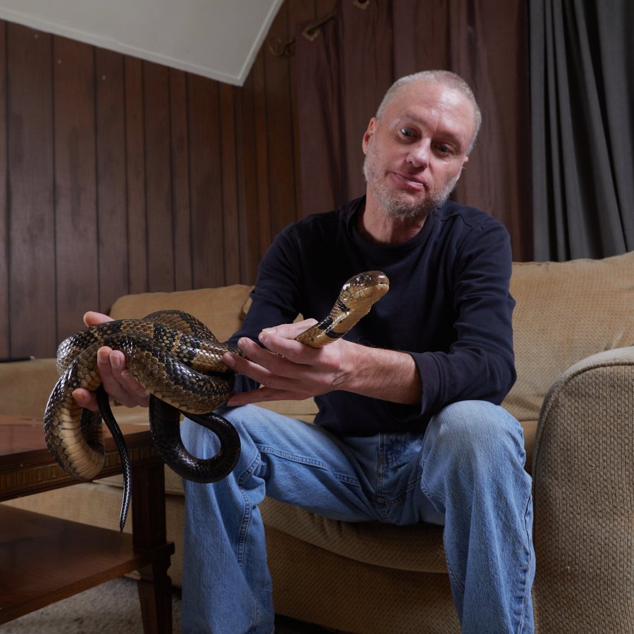 Injektoi veten 856 herë me helm gjarpërinjsh. Historia e çmendur e njeriut ‘antivenom’