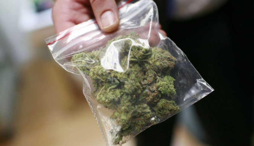 Këlcyrë, dy të rinj kapen me kanabis