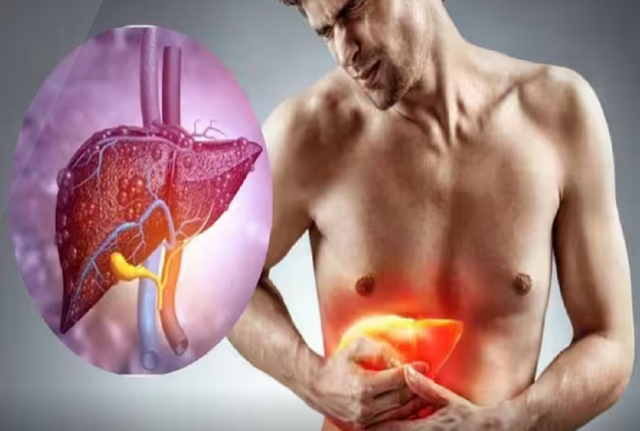 Këshilla të domosdoshme se si të kujdeseni vazhdimisht për mëlçinë, sistemin limfatik dhe traktin tretës