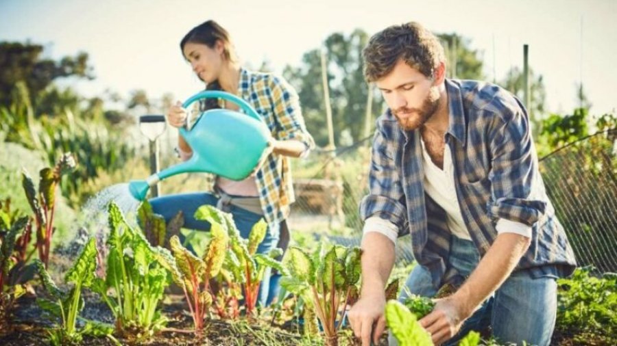 Kopshtaria – terapia natyrale që qetëson mendjen dhe forcon trupin