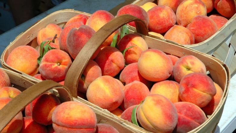 Kroacia dhe Bosnje-Hercegovina bllokojnë pjeshkët nga Shqipëria, ja arsyeja