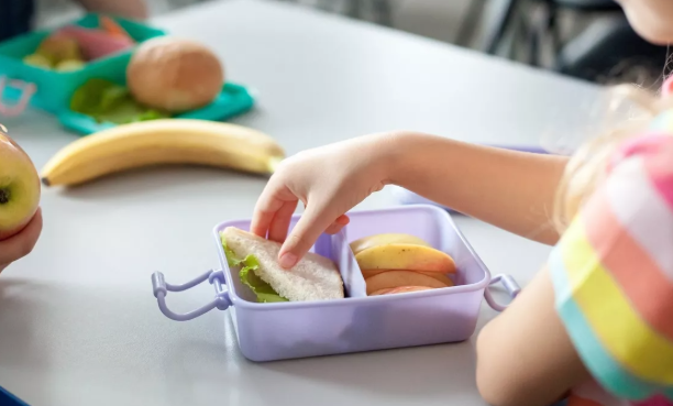 Kutia e ushqimi për në shkollë, si ndikon në shëndetin, energjinë dhe zhvillimin e fëmijës