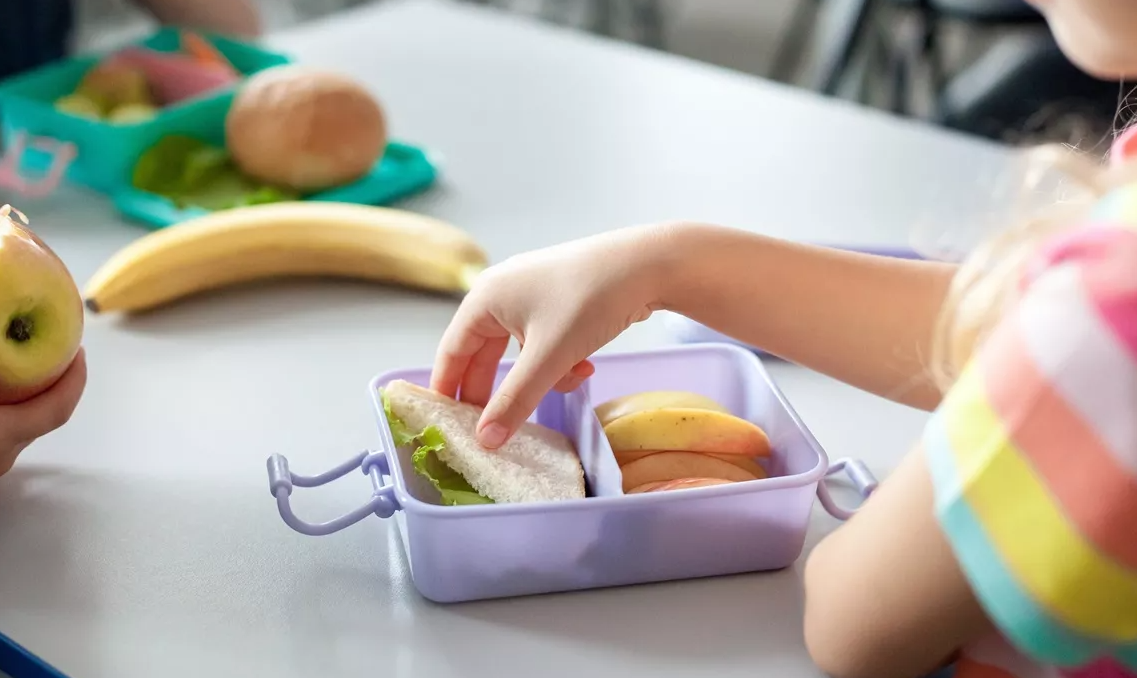 Kutia e ushqimit për në shkollë, si ndikon në shëndetin, energjinë dhe zhvillimin e fëmijës