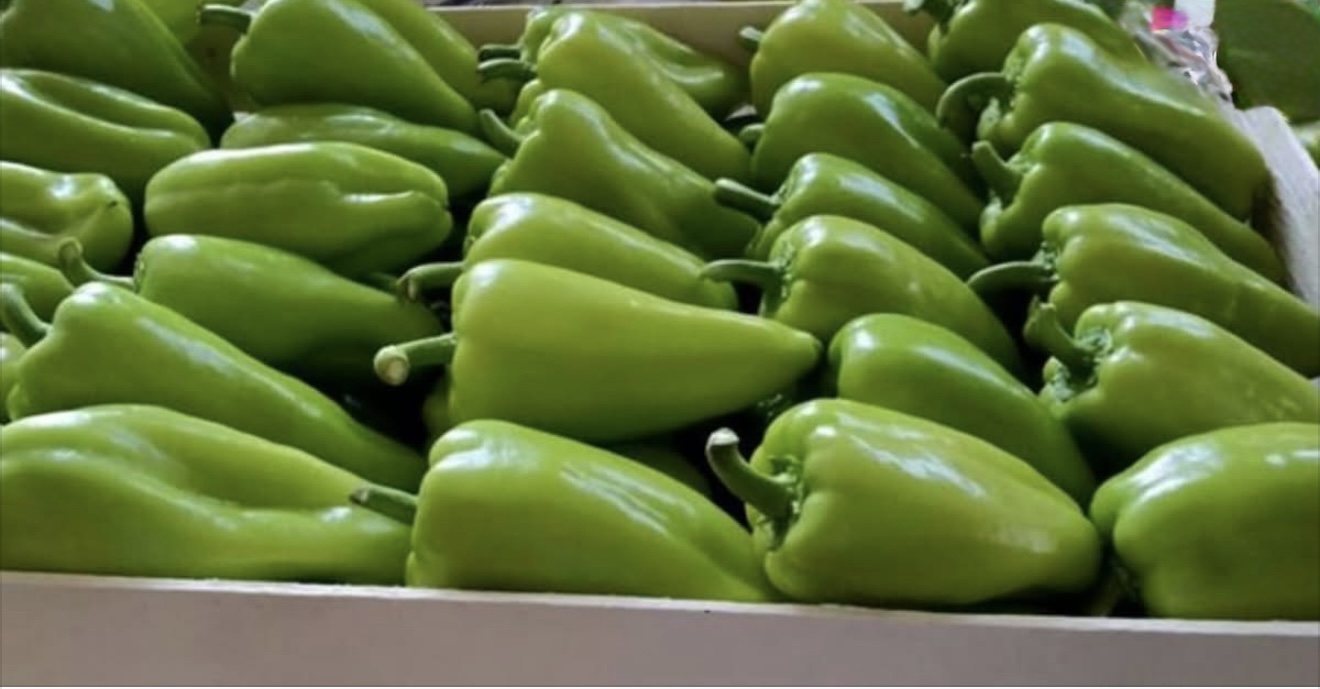 Lufta me insektet që helmon perimet/ Specat e ndaluar në Slloveni, fermerët nga Fieri gabuan dozat dhe mbingarkuan produktin