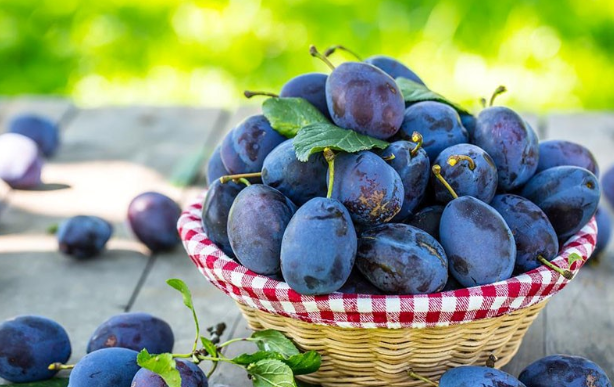 Mbrojnë zemrën dhe kontrollojnë kolesterolin