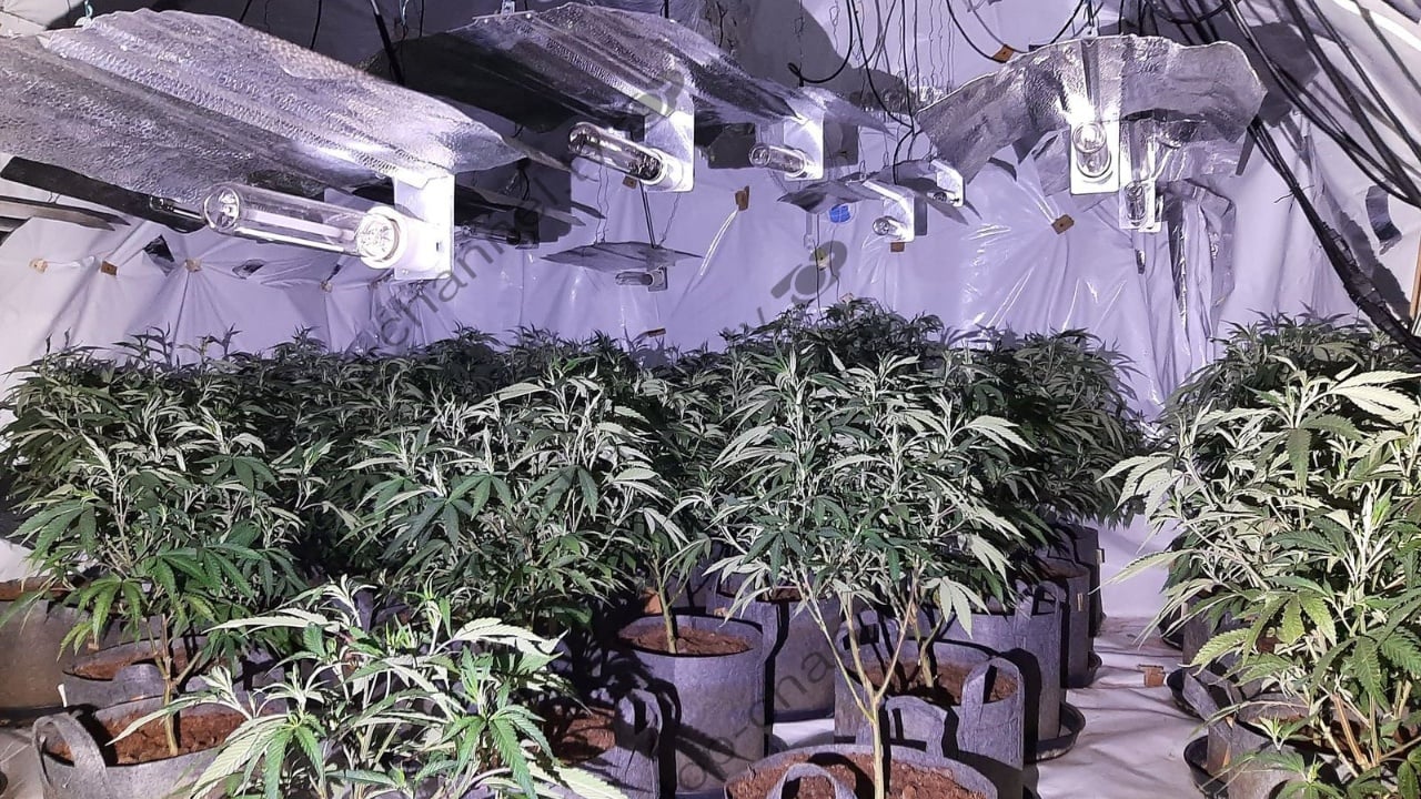 Mbyllen shtëpitë e barit në Birmingham, gjenden para dhe 2 kg kokainë