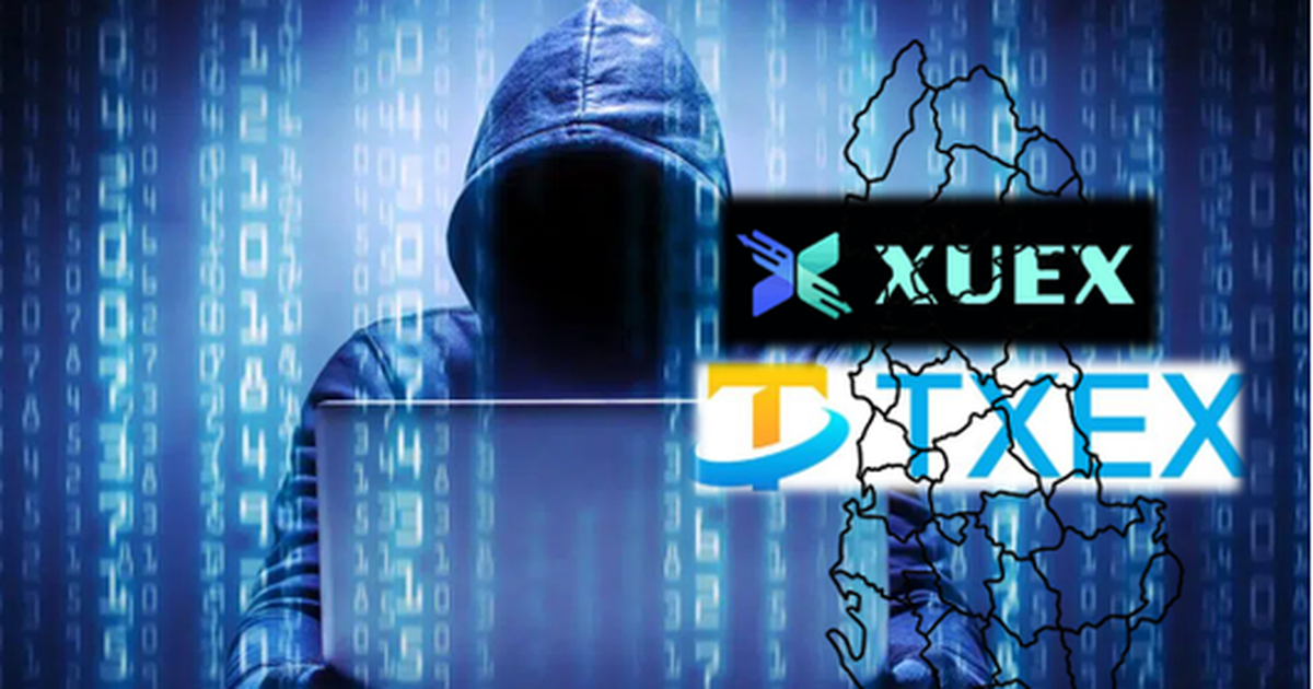 Miliona euro të humbura- Firmat piramidale online, Policia ‘zbarkon’ në 5 qytete, 6 të arrestuar, 2 në kërkim