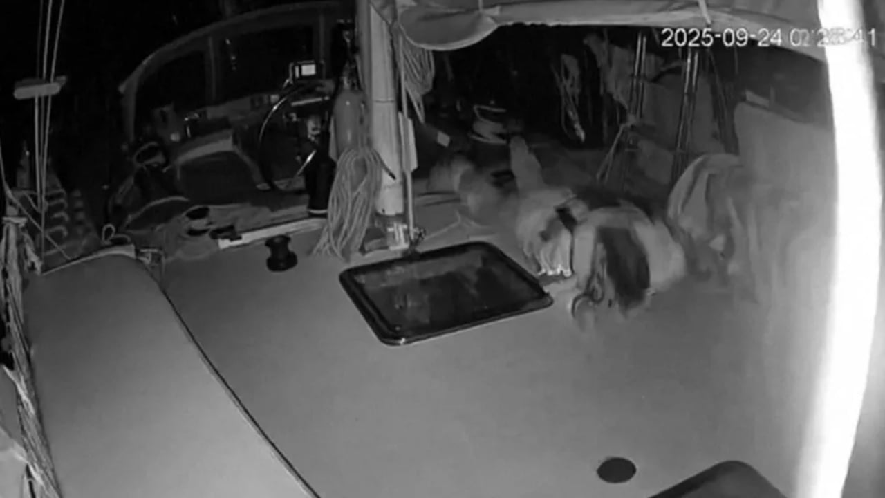 Ministri i Mbrojtjes i Italisë dënon sulmin me dron ndaj anijeve humanitare në Gaza