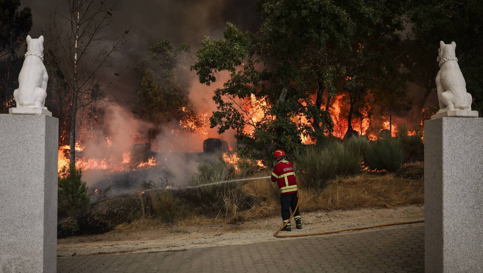 Moti ekstrem në verë shkaktoi 43 mld euro humbje afatshkurtra në Europë