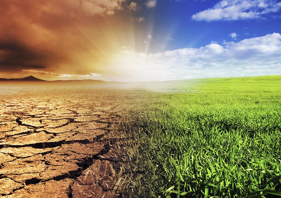 Ndryshimet klimatike do të ulin deri në 20% rendimentin e ullirit e rrushit, pasoja dhe në blegtori