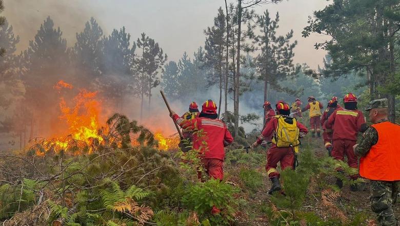 “Në luftë” me flakët gjatë verës/ Qeveria: Shpërblim 1–3 paga për Forcat e Armatosura, Policinë, Mbrojtjen Civile dhe zjarrfikësit