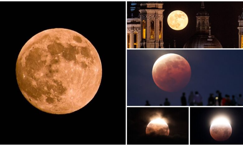Nesër spektakël në qiell: Hëna e Përgjakshme do të shihet nga miliarda njerëz