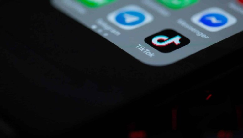 Njëri postonte foto të një vajze në TikTok, tjetri mashtronte në rrjetet sociale, policia heton dy shantazhuesit