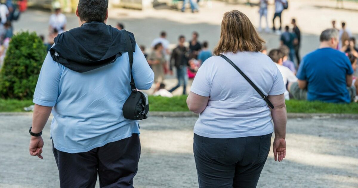 Obeziteti në Shqipëri mbi mesataren europiane/ Mjekët: Faktor për rritjen e sëmundjeve kronike