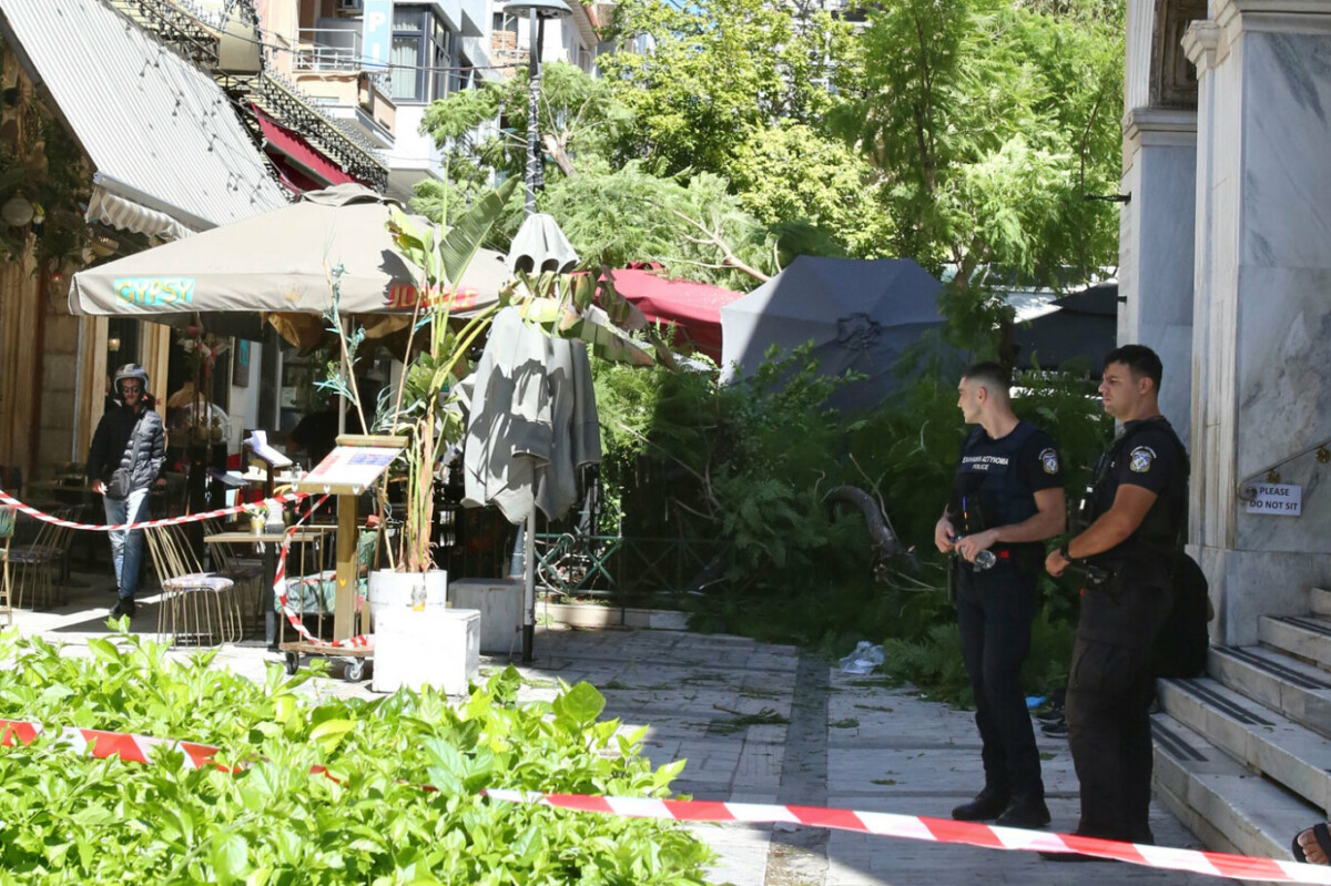 Panik në qendër të Athinës, rrëzohet pema, plagosen dy persona