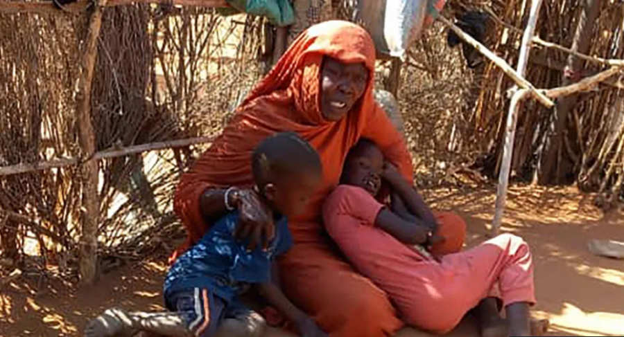 Paramilitarët sudanezë akuzohen për krime kundër njerëzimit për rrethimin e një qyteti në Darfur