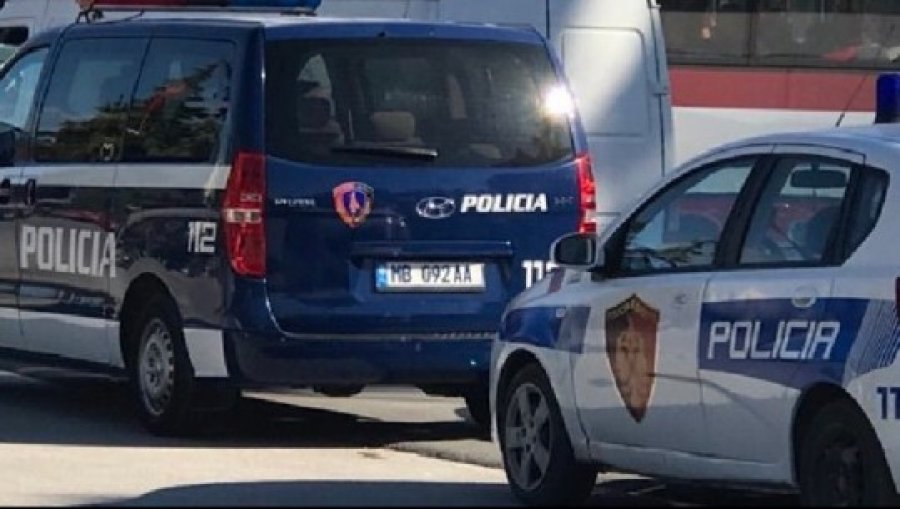 Pogradec, forca të shumta policie në terren, sekuestrohen pasuri të dyshuara nga krimi i organizuar