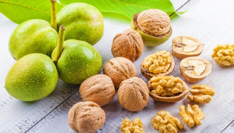 Pse duhen përdorur arrat për shëndetin e trurit dhe fuqizimin e kockave