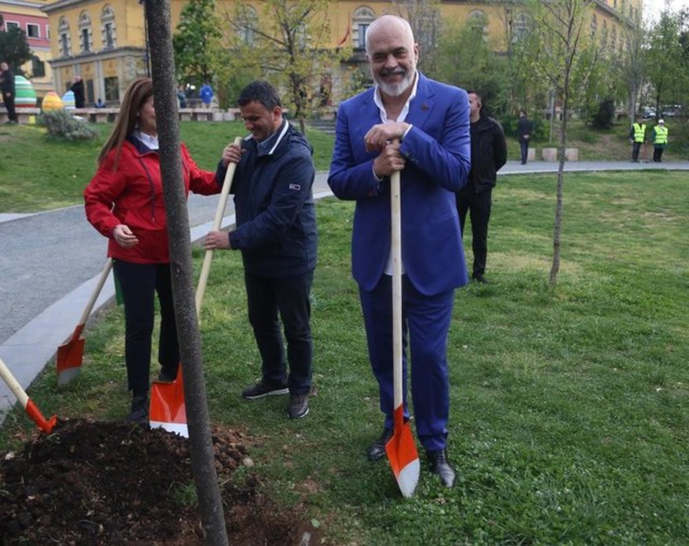 Rama imiton Velianj: Një pemë për çdo karrige që lokalet duan të mbajnë në hapësirat publike