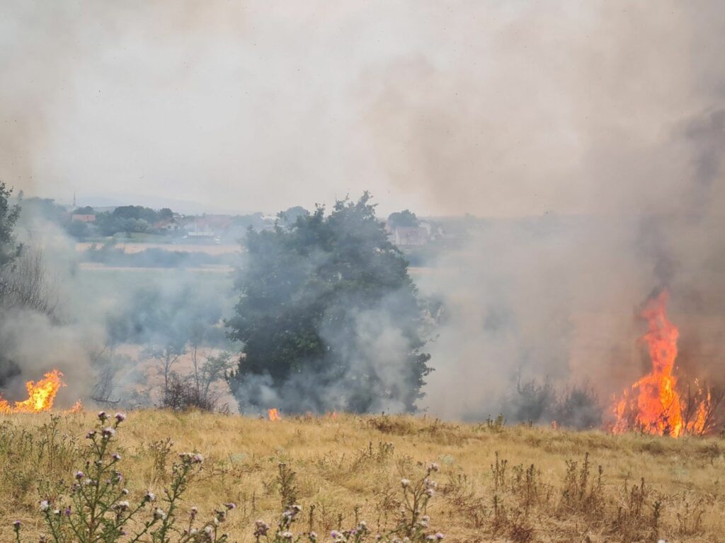 Sarandë, zjarr në Qafën e Butrintit/ Flakët e favorizuara nga era rrezikojnë Parkun Kombëtar