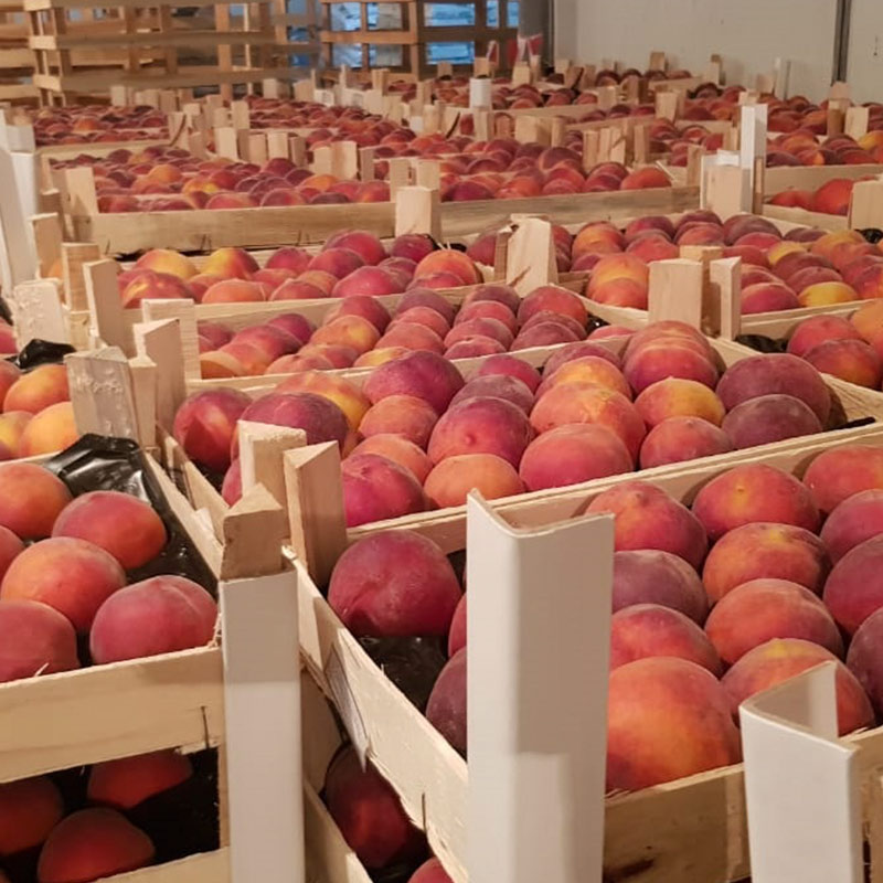 Sasia prej 5,562 kg pjeshkësh me prani të lartë nikeli refuzohet nga Kroacia, AKU nis hetimet