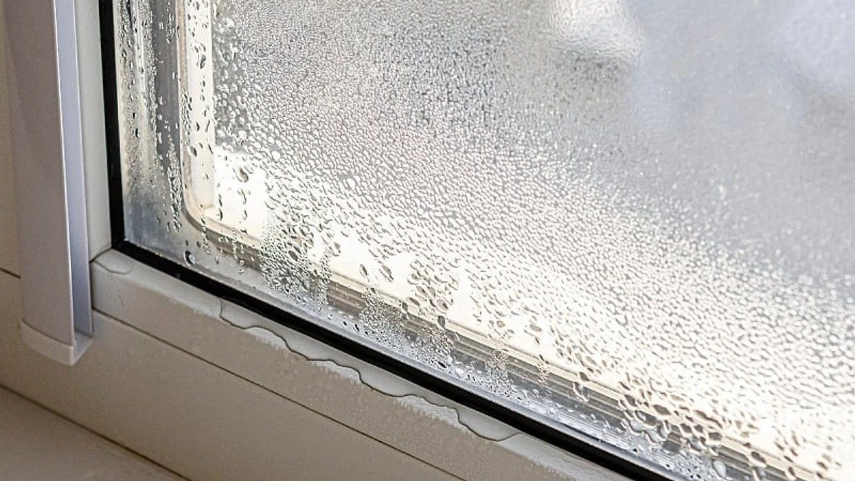 Shmangni kondensimin në dritare dhe rritjen e mykut me sodë buke