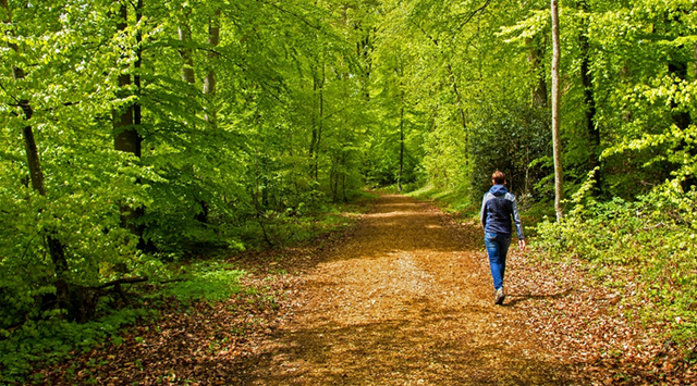 Si të humbasësh peshë duke ecur! Këshillat për një rezultat të shpejtë