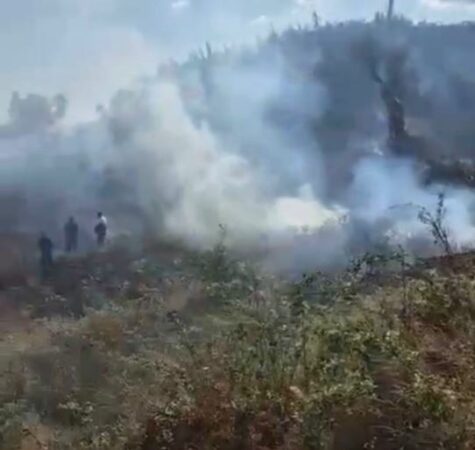 Situatë alarmante/ Shkrumbohen dhjetëra banesa, mijëra hektarë me dru frutorë dhe pyje, tetë vatra zjarri në qarkun e..