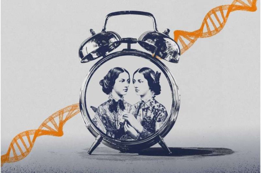 Studimi mbi binjakët identikë e lidh plakjen më të shpejtë me rënien e kujtesës