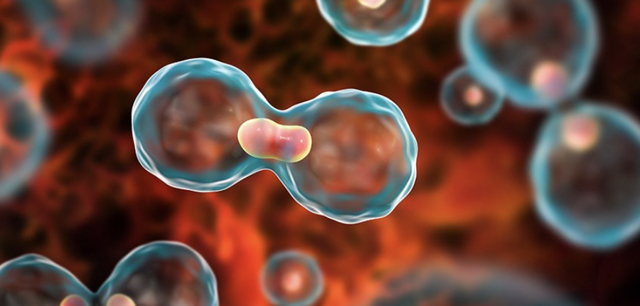 Studimi shokues: Numri i vdekjeve nga kanceri mund të rritet me 75% deri në vitin 2050