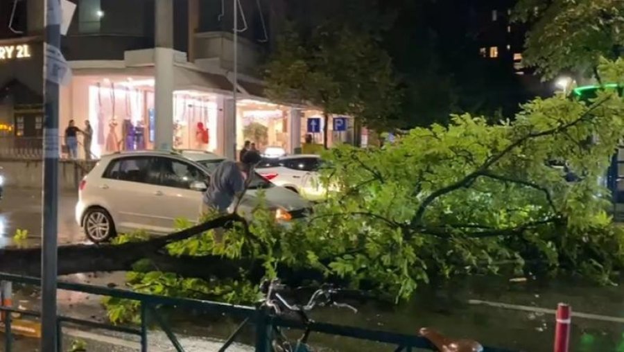 Tiranë/ Era e fortë thyen degën e pemës, bllokohet qarkullimi në Rrugën e Elbasanit