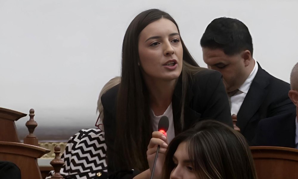 Zegjine Çaushi mban fjalën e parë në Parlament, provokon opozitën: Si Bardhi do përfundoni dhe ju