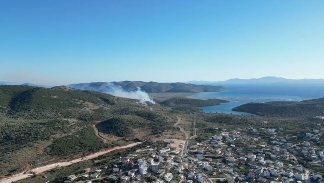 Zjarr në Parkun e Butrintit, flakët favorizohen nga era. Forcat zjarrfikëse në vendngjarje