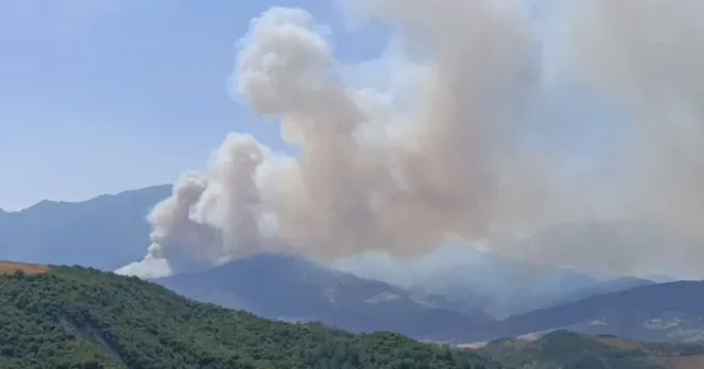 Zjarr në Parkun e Butrintit, flakët përfshijnë zonën e gjelbër